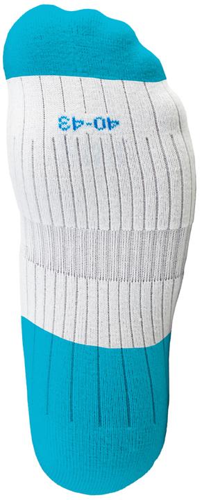 Actual product image P.A.C. PAC SP 2.0 Quarter Functional (43 - 47)