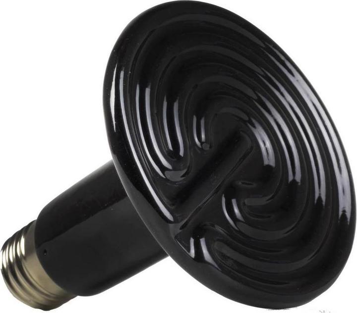 Image du produit Reptiles-Planet Terra