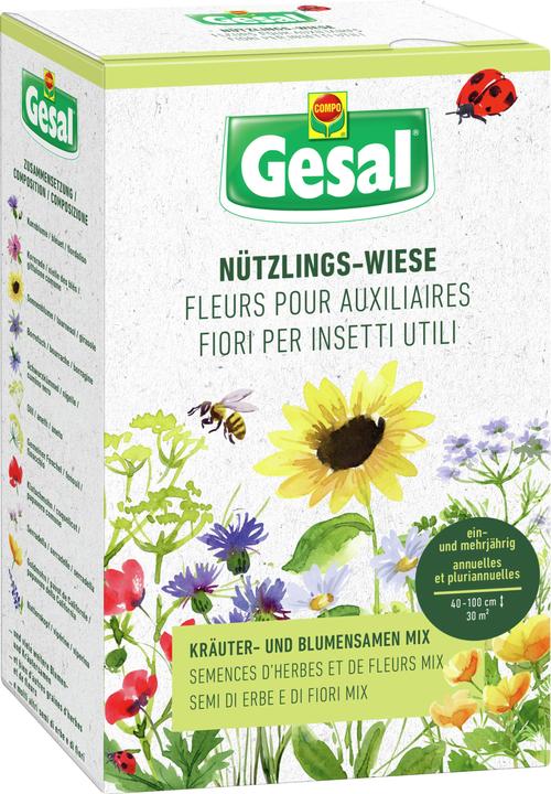 Gesal Nützlings-Wiese (Blumensamen)