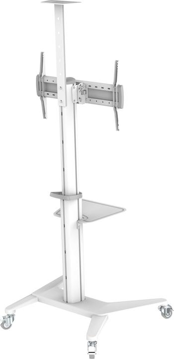 Produktbild PureMounts TV-Trolley PDS-0003C DS, Weiss (70 kg, 37" - 70")