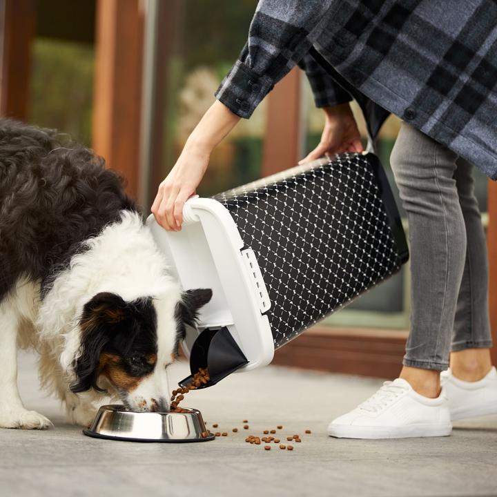 Actual product image Rotho Cody