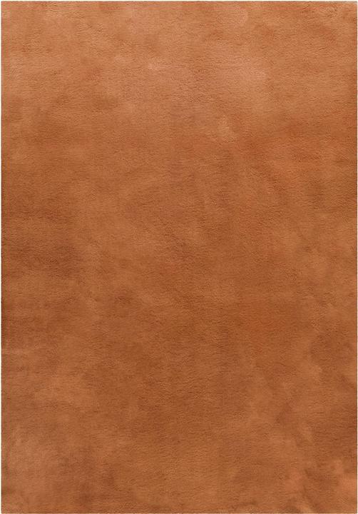 Produktbild Wecon Home Basics Teppich Anna (60 x 40 cm)