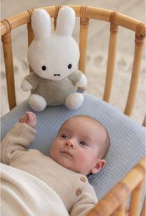 Actual product image Smiffys Miffy cuddly toy 25cm Fluffy green (25 cm)