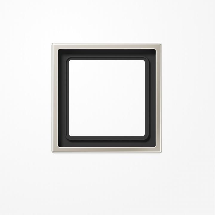 Actual product image JUNG Frame