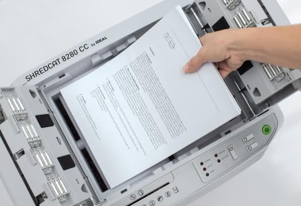 Actual product image Ideal Shredcat 8280 CC (Particle cut)