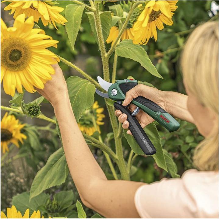 Productafbeelding Bosch Home & Garden Accu-tuinschaar EasyPrune