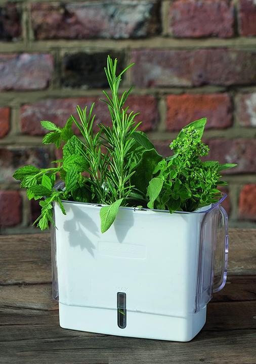 Actual product image Cole & Mason Fresh food storage box (0.38 l)