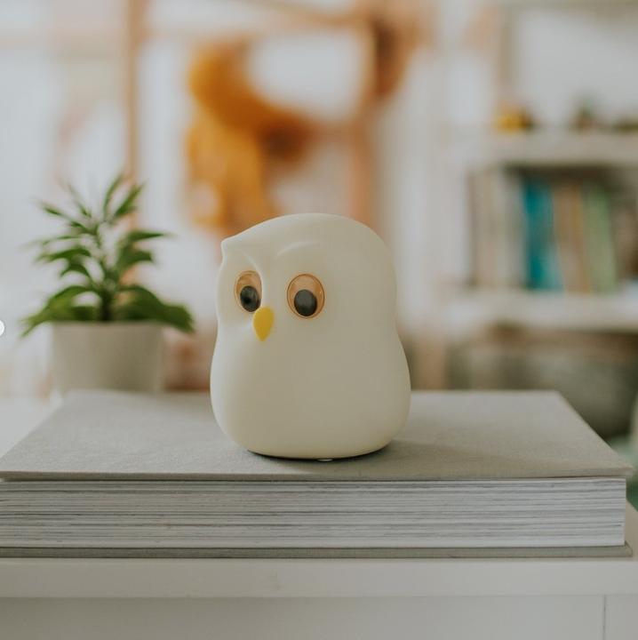 Produktbild Ecolight Lampe Eule