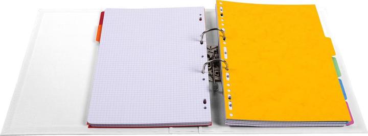 Actual product image Exacompta PVC Premium (A4, 50 mm, 1 Piece)