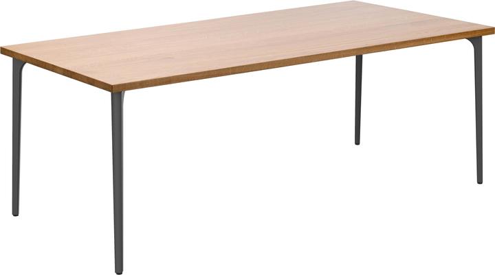 Horgenglarus Podia (220 x 90 x 74 cm)