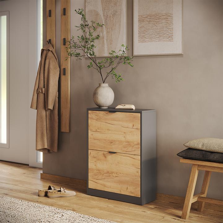 Produktbild Vicco Schuhkipper Gizmo, Goldkraft Eiche/Anthrazit, 59 x 77.6 cm mit 2 Fächern (22 x 59 x 77.60 cm)
