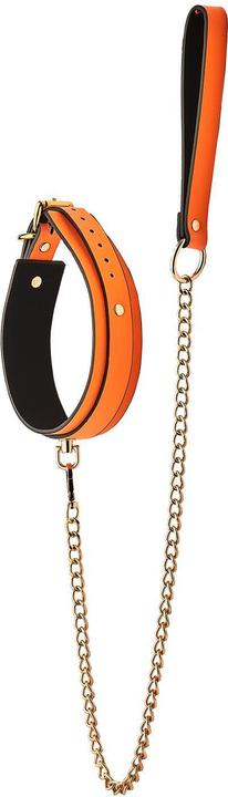Produktbild Dreamtoys Dream Toys Radiant Collar and Leash Orange One Size