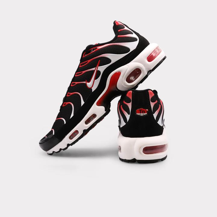 Actual product image Nike Air Max Plus (42)