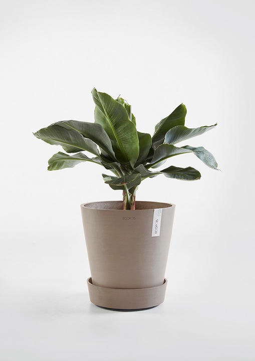 Actual product image Ecopots Saucer on Wheels