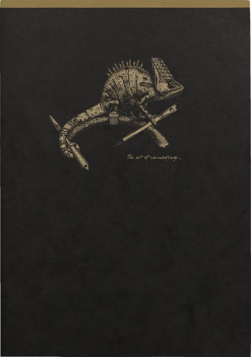 Immagine prodotto Clairefontaine Flying Spirit (A5, Righe, Nessuna rilegatura)