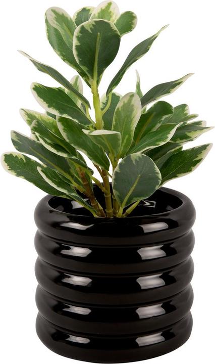 Produktbild present time Bobbly Glazed Small (14.50 x 13 cm)