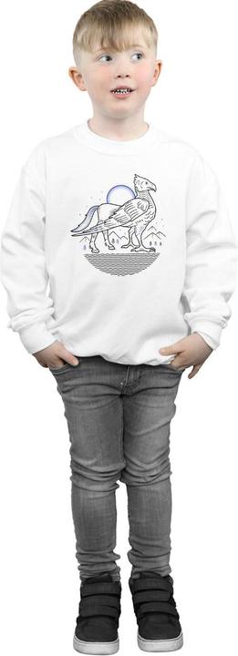 Image du produit - Sweat BUCKBEAK LINE ART - Garçon (116)