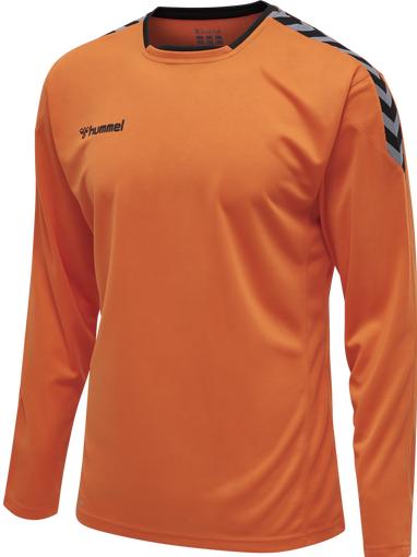 Image du produit hummel Authentic Poly Jersey L/S (S)