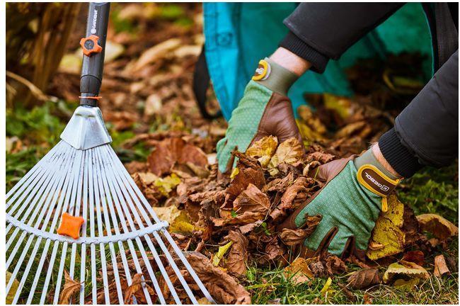 Immagine prodotto Gebol Vitis 11 (11)