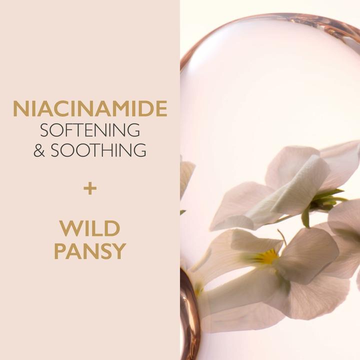 Produktbild Lancaster Skin Essentials (Reinigungsschaum, 400 ml)