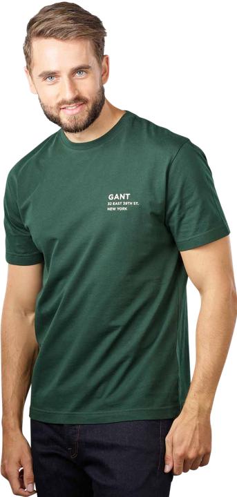 Actual product image GANT Small Logo T-Shirt Short Sleeve Tartan Green (L)