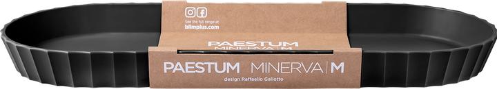 Image du produit Blim Plus Plateau Minerva gr. M 37.5x15 cm