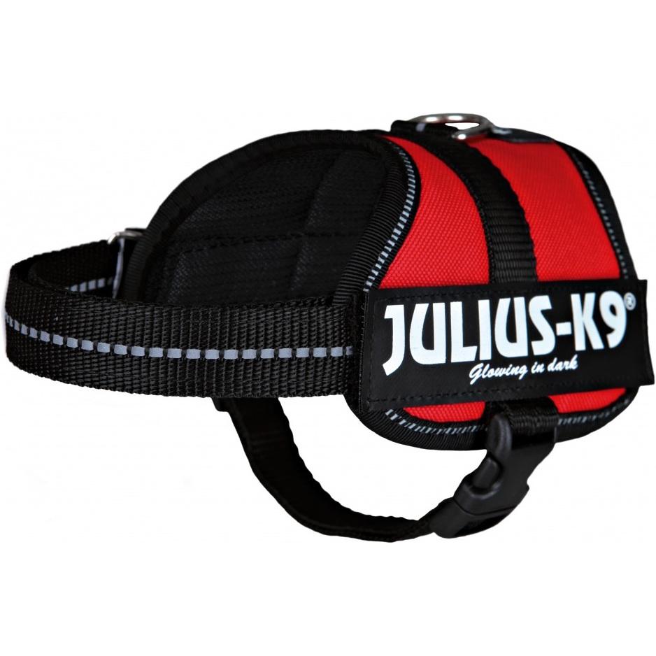 Thumbnail - Julius-K9 Powergeschirr für kleinere Hunde ergonomisch (XS, S, Hund, Hundesport), Halsband + Leine