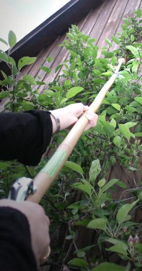 Actual product image Preisig Fruit Picker