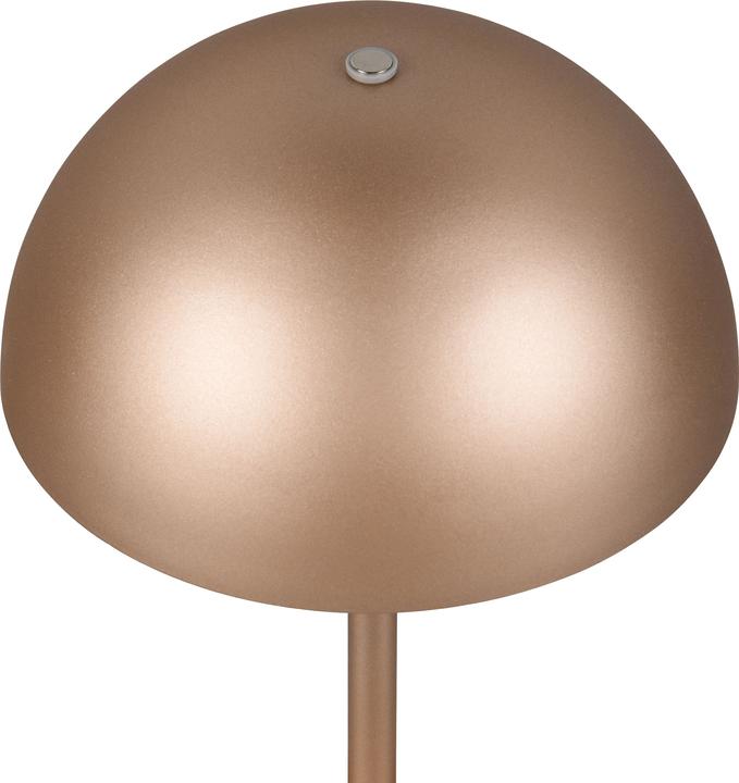 Actual product image Reality Munoz (120 lm)