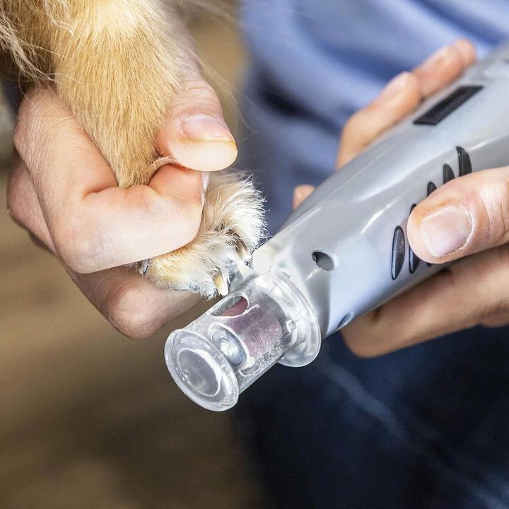 Immagine prodotto FURminator Lima elettrica ad artiglio (Cane, Gatto)
