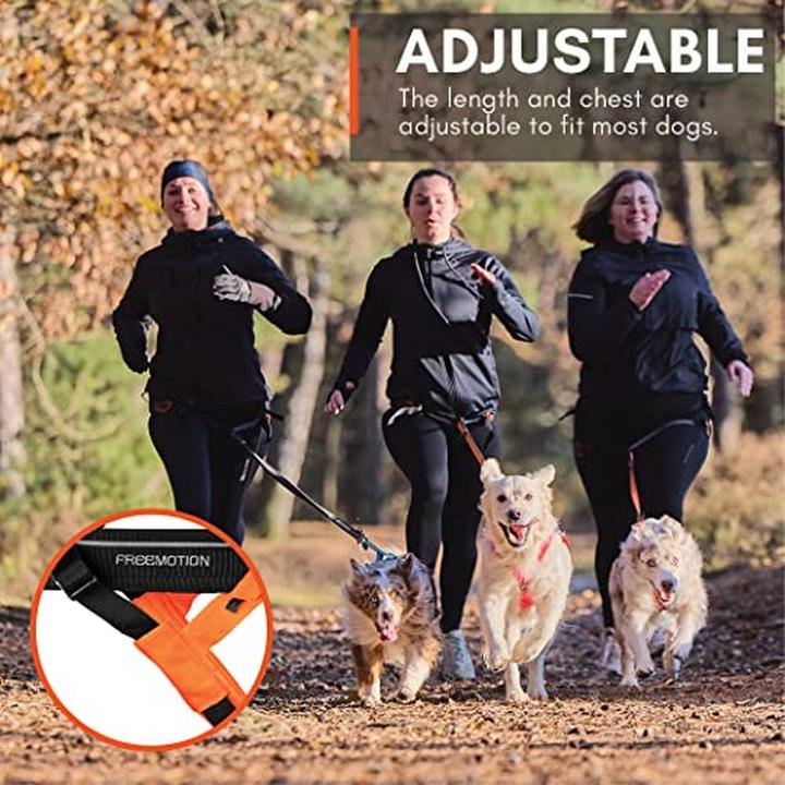 Image du produit Non-Stop Dogwear Harnais Freemotion 5.0 (5, S, Chien)