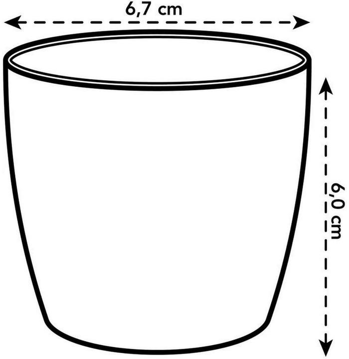 Actual product image Elho Brussels (6.70 x 6 cm)