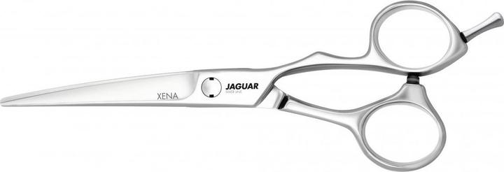 Actual product image Jaguar Silver Line Xena 6.0 Hair Scissors (15.24 cm)