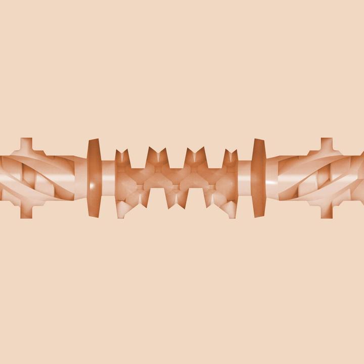 Produktbild Fleshlight Vina Sky Exotica