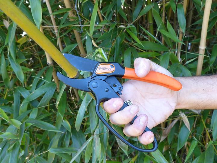 Produktbild Garten Primus Ratschenschere