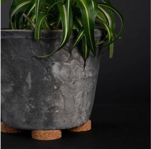Produktbild Esschert Design Topfuntersetzer Set