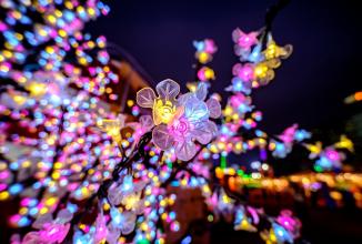 Image du produit Venus Optic Laowa 9mm f/2.8 Zero-D pour la DJI Zenmuse X7 (Dji DL Mount, APS-C / DX)