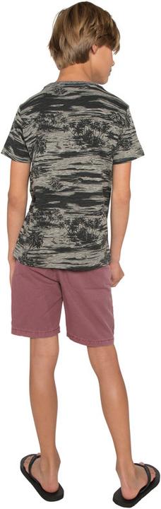 Produktbild Protest Shorts Lowell wine (140)