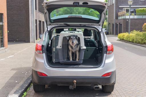 Actual product image Karlie Nomad (Cat, Dog, Lockable)