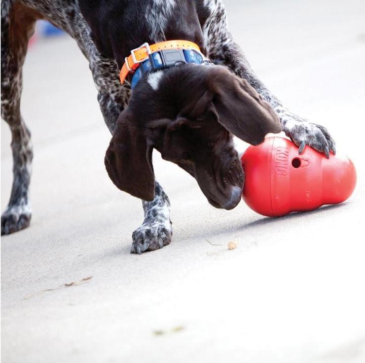 Image du produit KONG Wobbler (Jouet alimentaire pour chien)