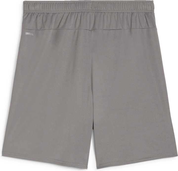 Actual product image Puma teamGOAL shorts (L)