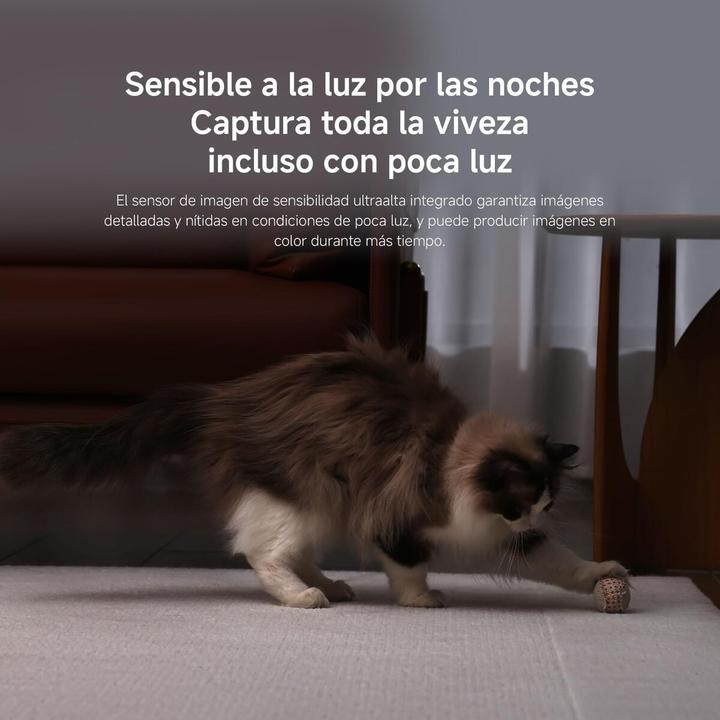 Image du produit Xiaomi Smart Camera C500 EU (3200 x 1800 Pixels)