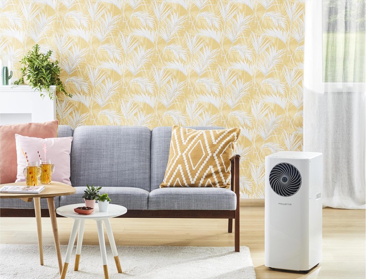 Immagine prodotto Rowenta Turbo Cool AU5010 (26 m², 9000 BTU/h)