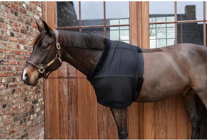 Produktbild Kentucky Horsewear Brustschutz