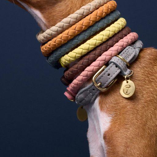 Image du produit Cloud 7 Collier de chien Ravello (S, Chien)