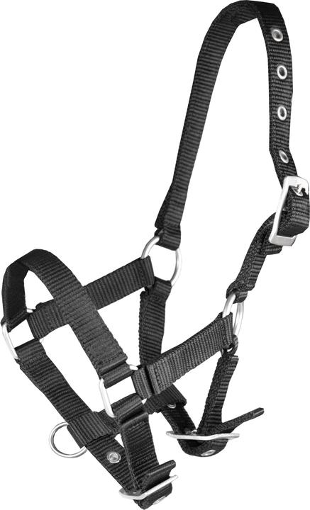 Immagine prodotto Horka Cavezza per puledro