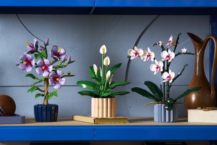 Image du produit LEGO Friedenslilie (11504, LEGO Botanical)