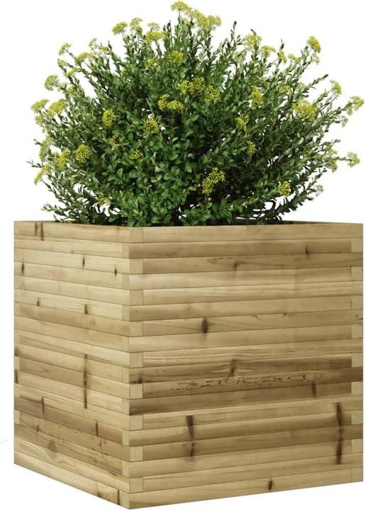 Immagine prodotto vidaXL Pflanzkübel