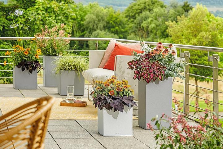 Image du produit Lechuza Colonne Canto Color (30 x 30 x 56 cm)
