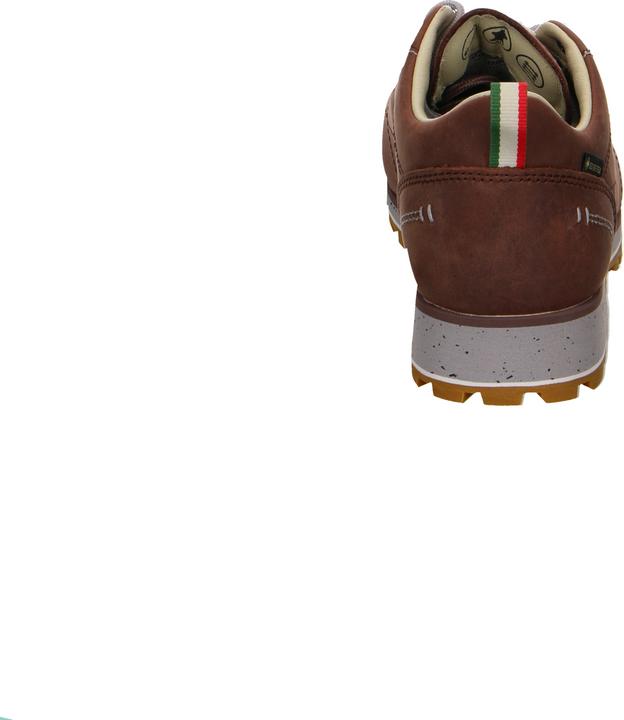 Actual product image Dolomite 54 Low FG Evo GORE-TEX (39.5)